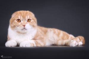 10357802_1273931672624031_945829033122492238_o