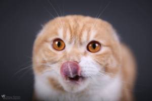 10454991_1273931629290702_4479500840375471488_o