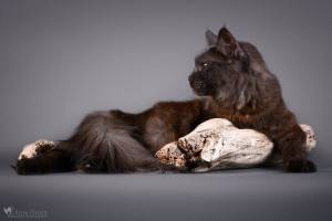 14633618_1483300058353857_5097968850664938932_o