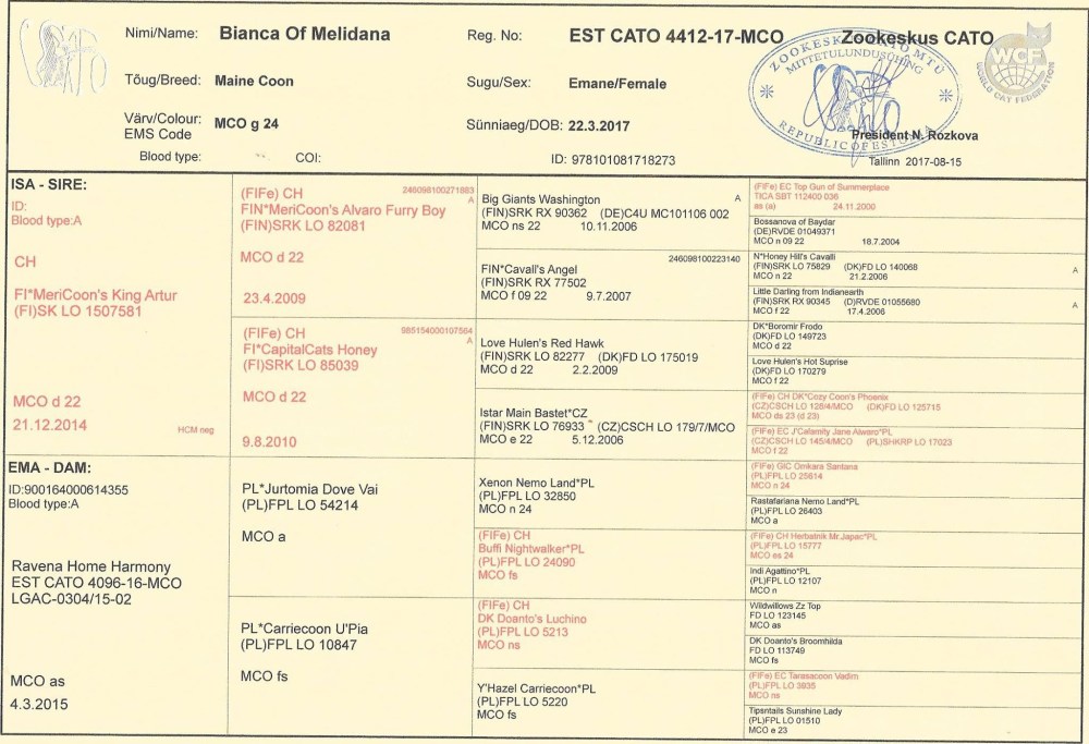 22369081_10212452106710167_6116797_o