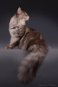 29512251_2182293328454523_8872363580596203027_n