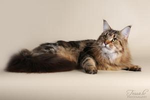 36509822_1773886282692847_2231874116074340352_n