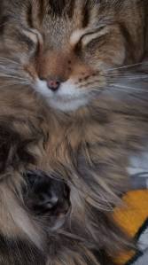 44953748_2517942018222984_7260390103602692096_o