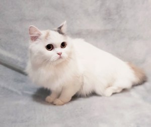 45040026_2520375501312969_2760686694469468160_o