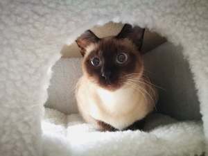 46318052_587662351669596_6184455453984948224_n