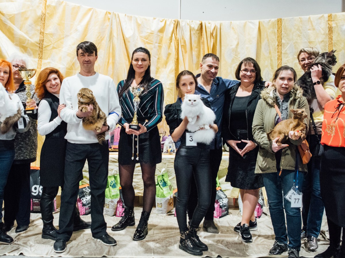 Miks on tõutunnistus nii oluline?